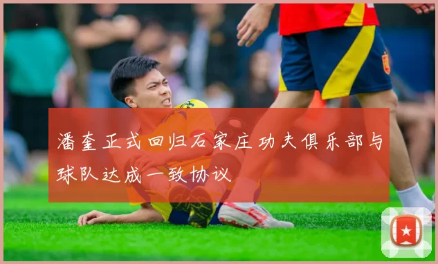 潘奎正式回归石家庄功夫俱乐部与球队达成一致协议